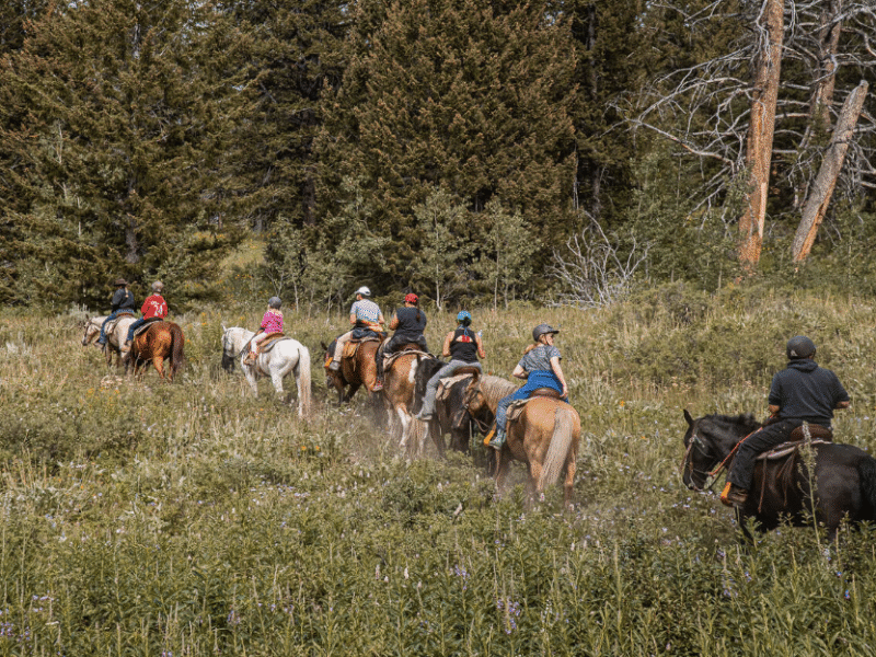Heart Six Ranch Jackson Hole: Bridger-Teton National Forest Horseback Ride